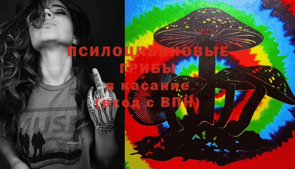 шишки Пересвет