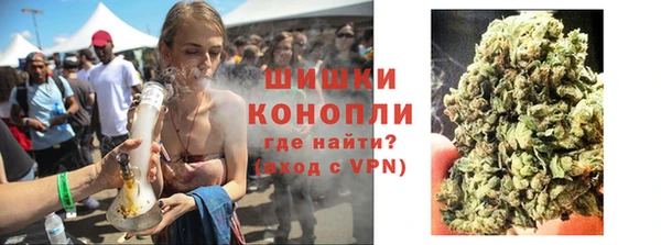 шишки Пересвет